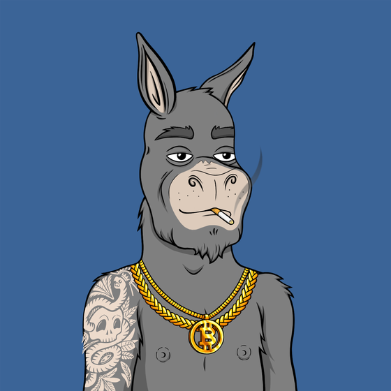 Bullish Jackass #919