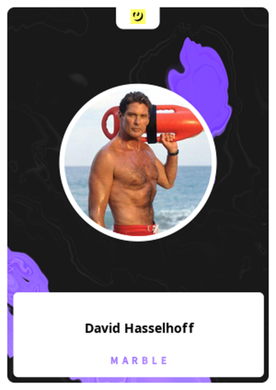 David Hasselhoff