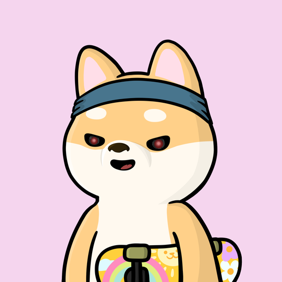 Shibe #2066