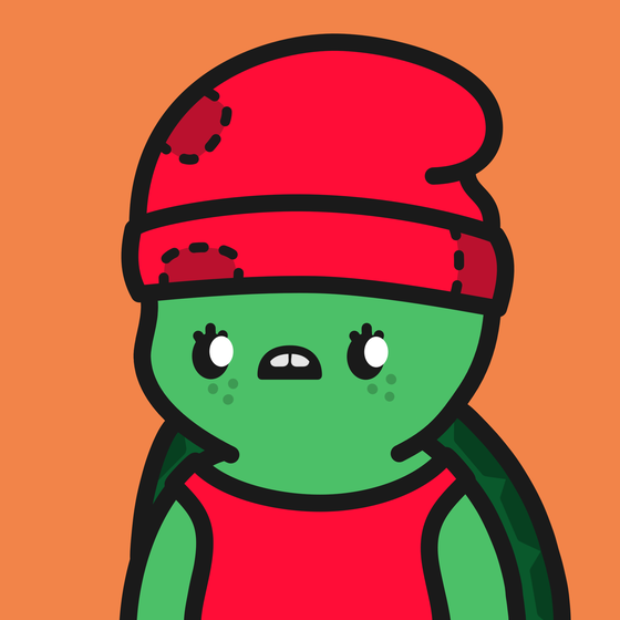 Turtle Town #6238