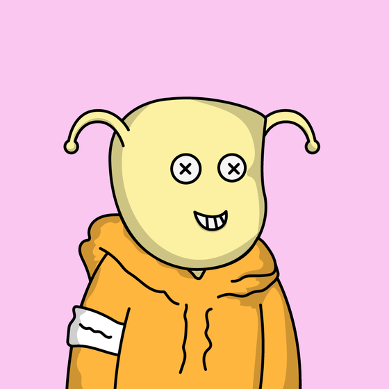 #519
