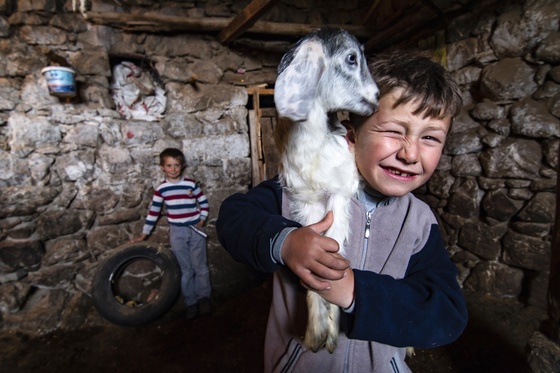 The Lamb and the Children