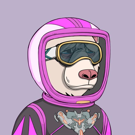 Okay Space Bear #774