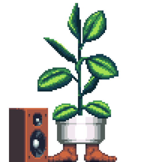 Rubber Plant in Feet pot with Speaker