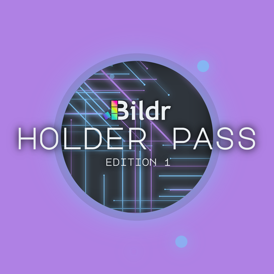 Bildr Holder Pass