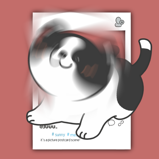 DogDrill#944
