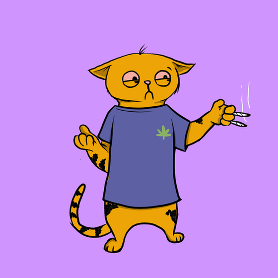 Blazed Cat #9609