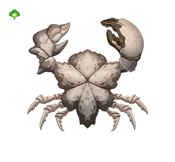 Crab #1719