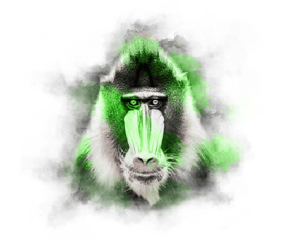 LIME SERIES - MANDRILL