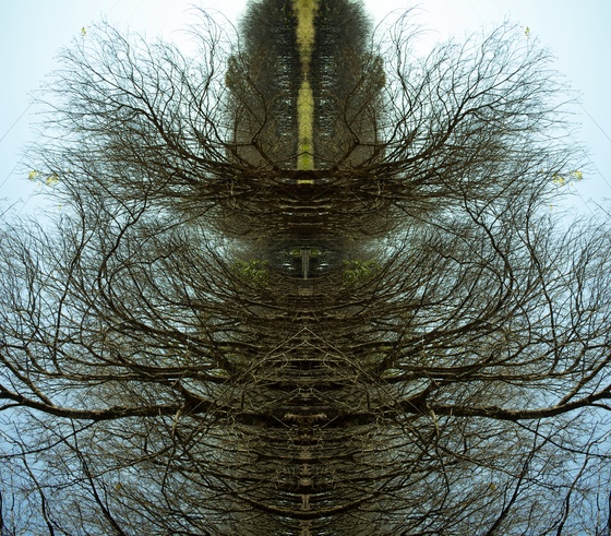 The gate | Abstrakt II series