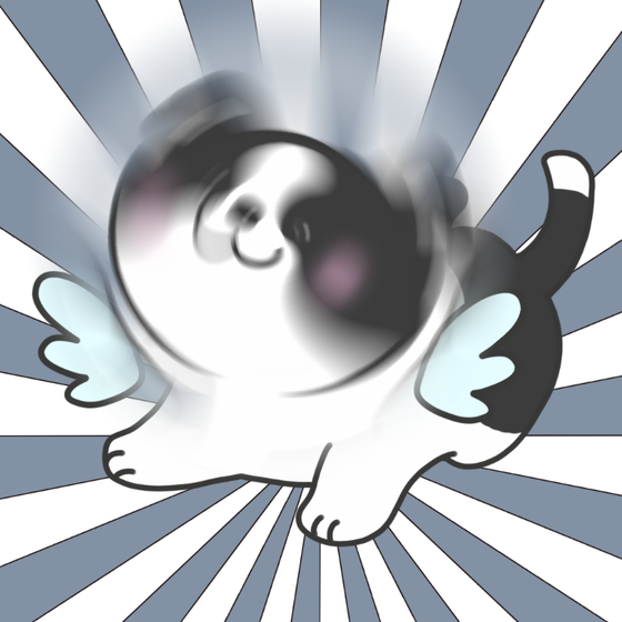 DogDrill#1013