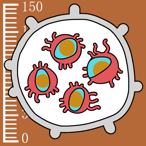 489