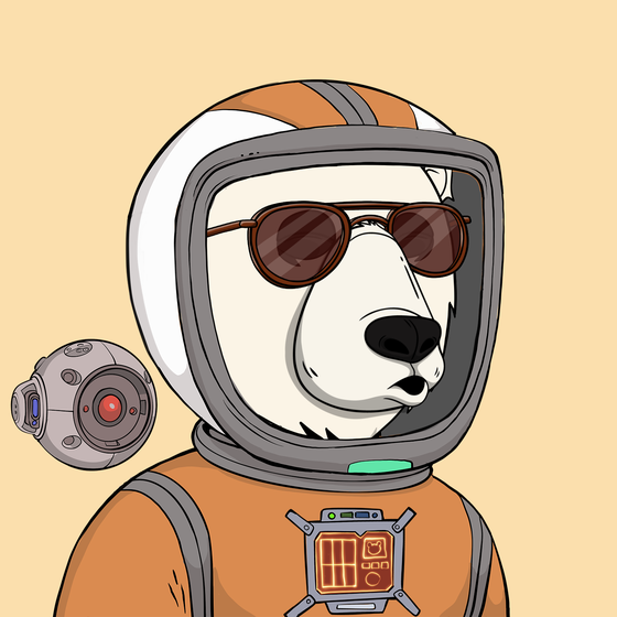 Okay Space Bear #1621