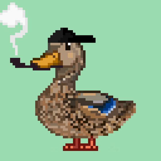 Mallard #8377