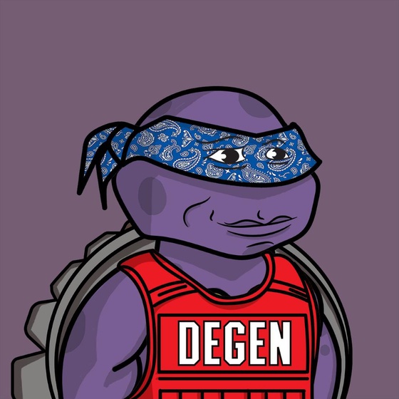 Degen Ninja Turtle #4727