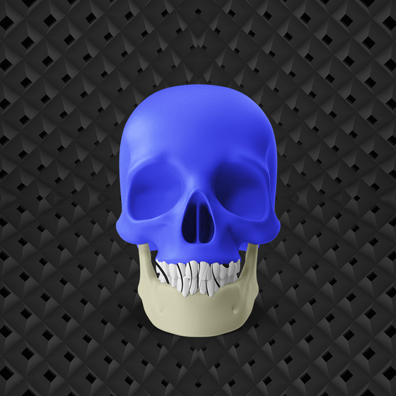 Skull #384