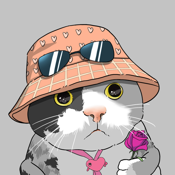 Puzzled cat #2079
