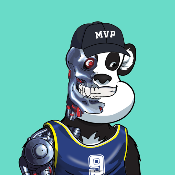 B-ball Pandas #284