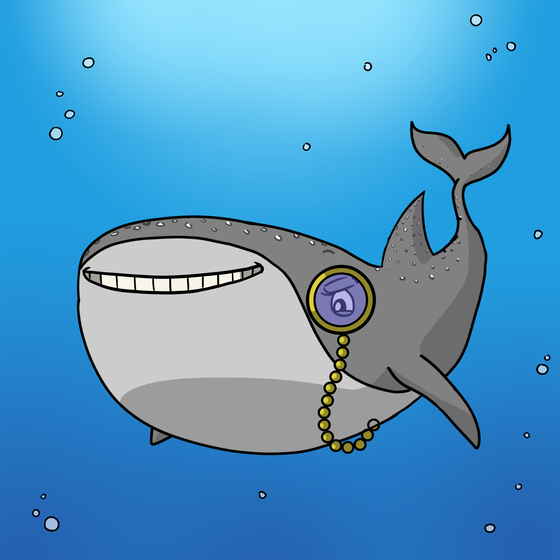 Whale Shark #13