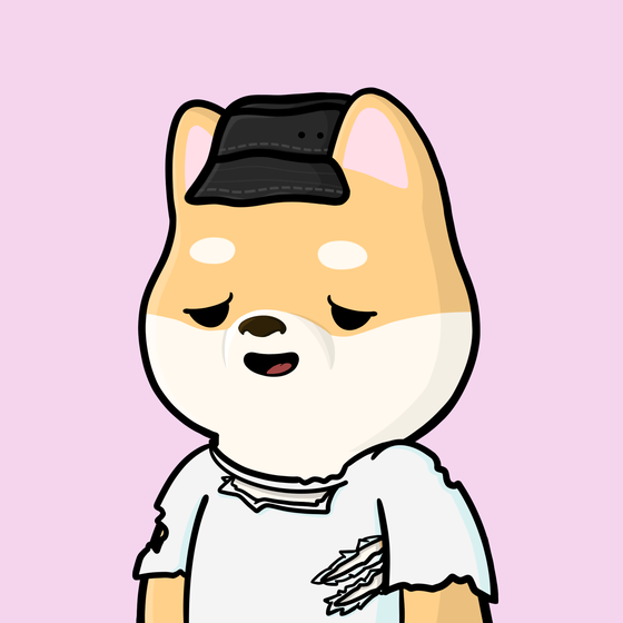 Shibe #3228