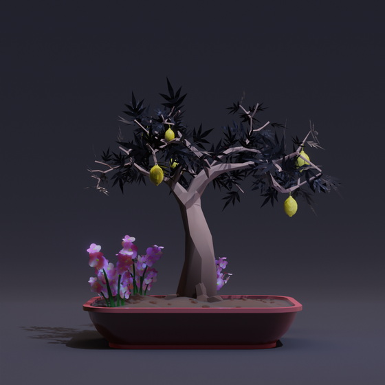 Bonsai #2375