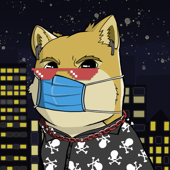 DogeX#7313