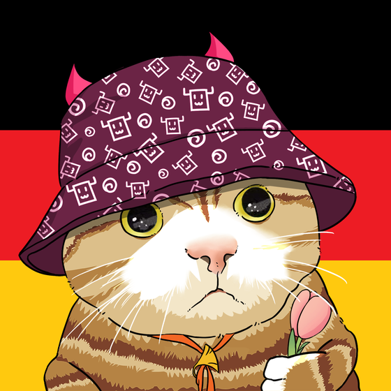 Puzzled cat #4342