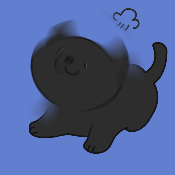 DogDrill#227