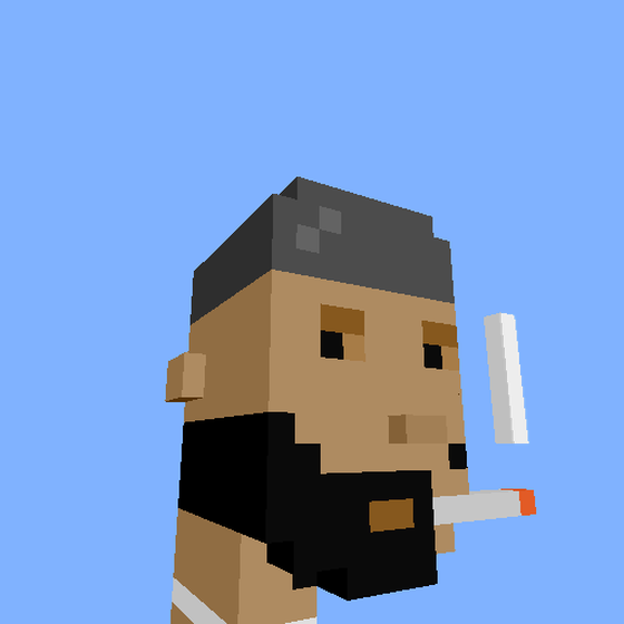 PunkVoxels #4261