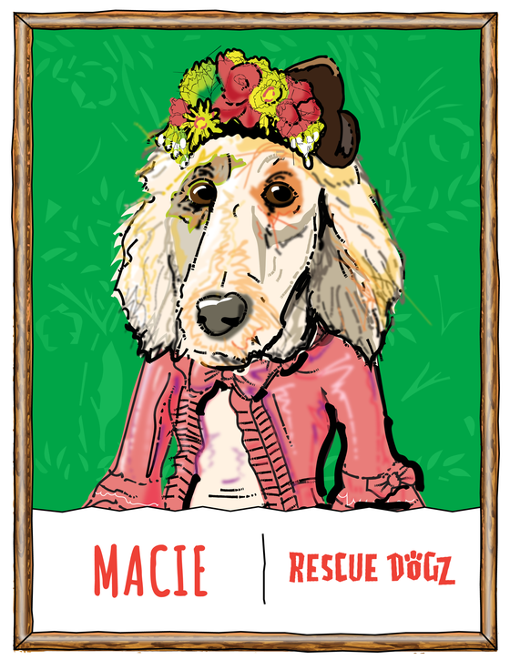 Rescue Dogz #287