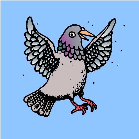 Hood Pigeon #1697