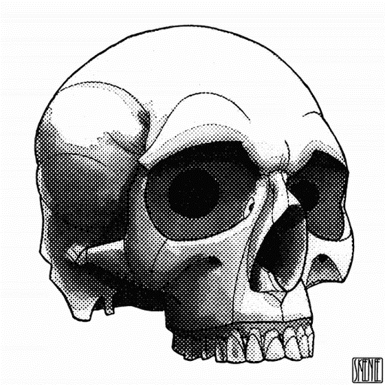 💀44 | CHROMATIC GLITCH SKULL 03