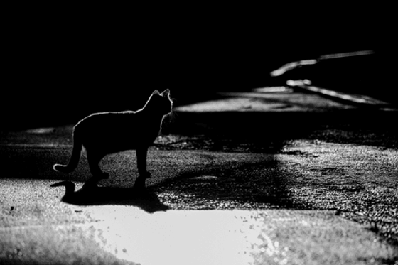 My black and white soul in the streets-9