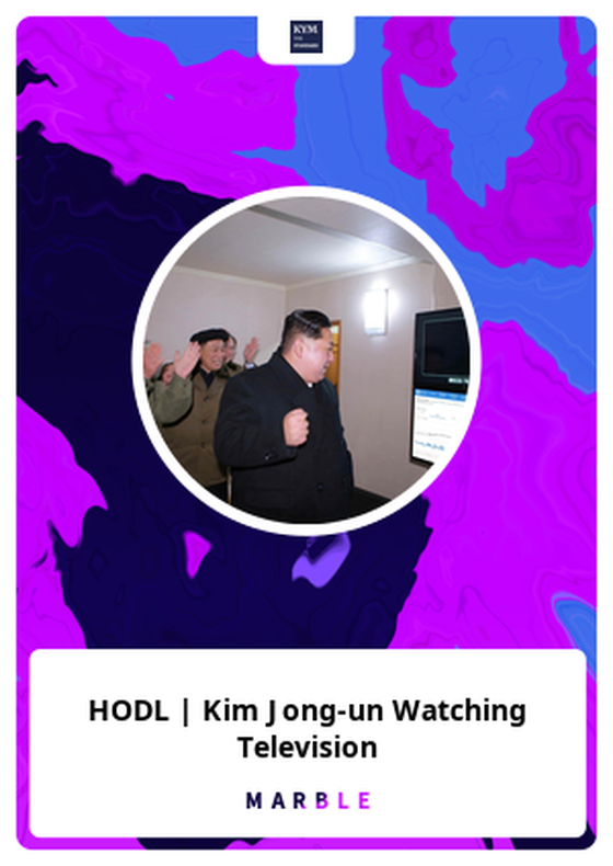 HODL | Kim Jong-un Watching Television