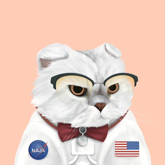 FatCatPlanet #1896