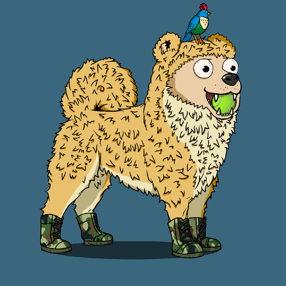 y00ts Canine Club #74