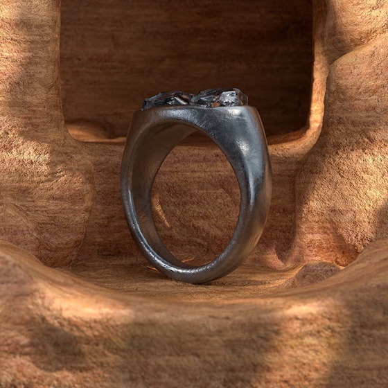 Titanium Ring of the Twins