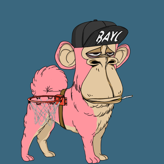 Kennel Ape #4281
