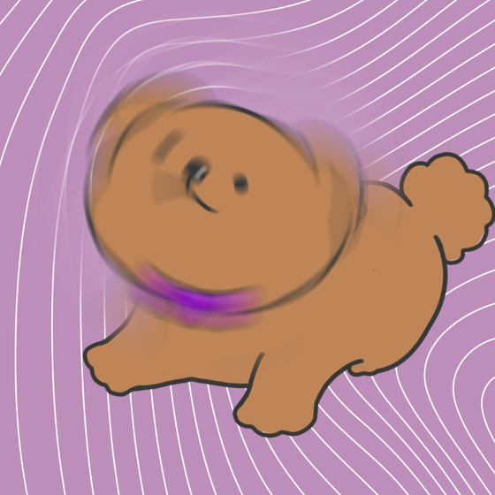 DogDrill#1170