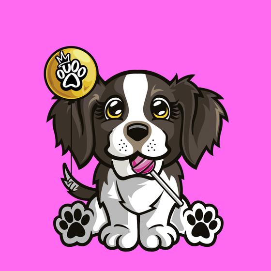 English Springer Spaniel 0608