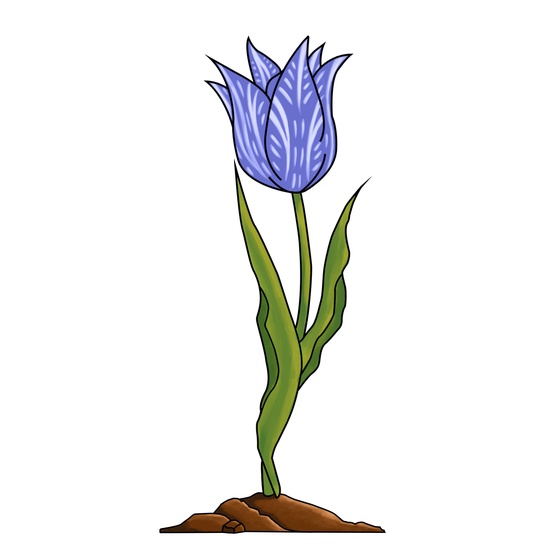 EtherTulip #50