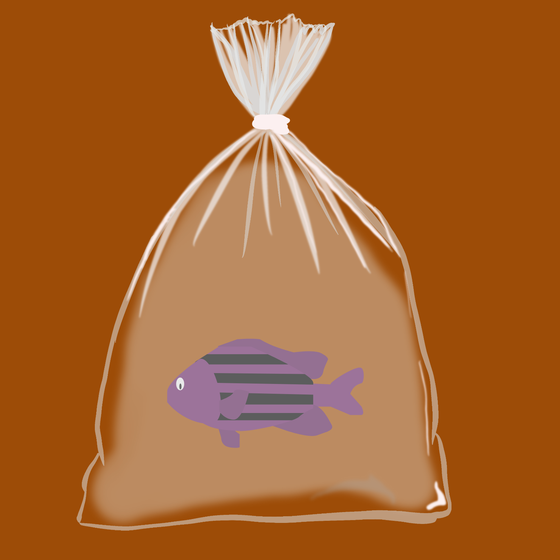 Feesh #1085