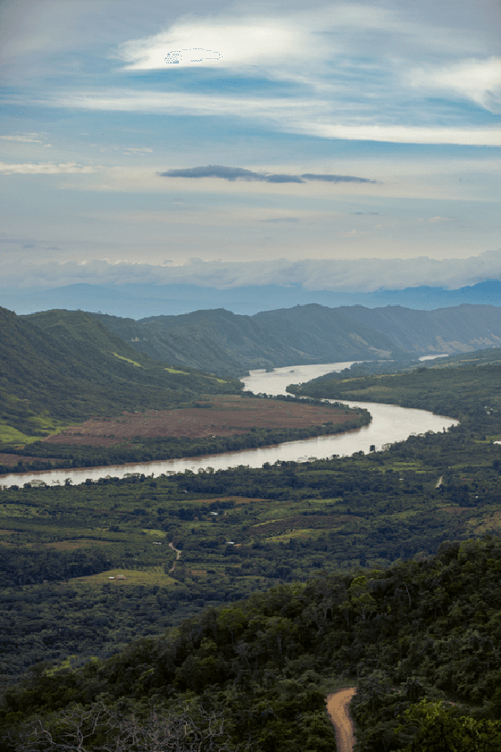 Amazon River 