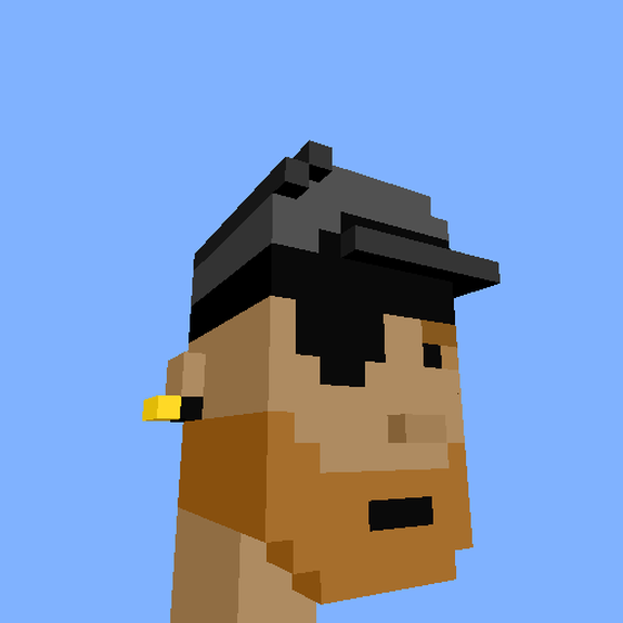 PunkVoxels #4635