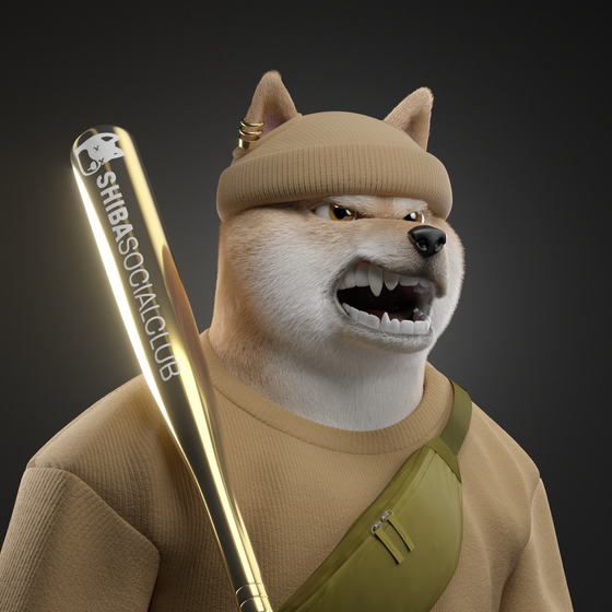 Shiba #3688