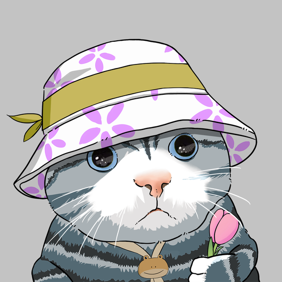 Puzzled cat #3715