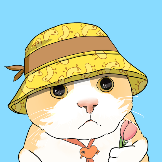 Puzzled cat #8954