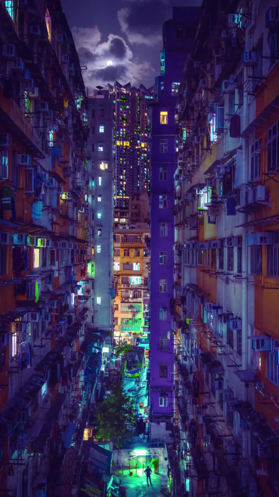 Noealz 'HongKong.exe' #18/25