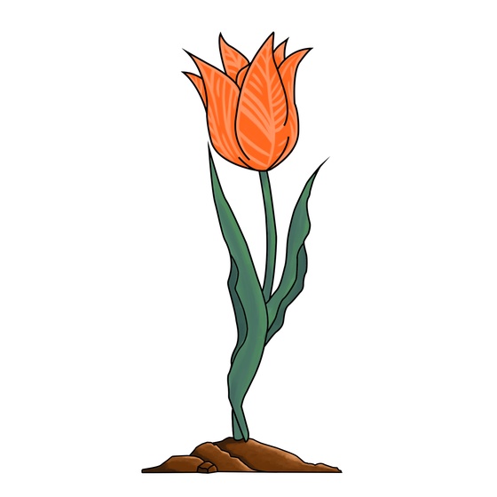 EtherTulip #49