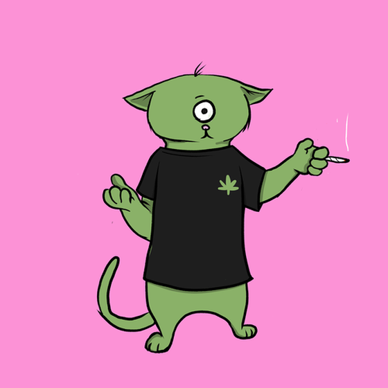 Blazed Cat #5628